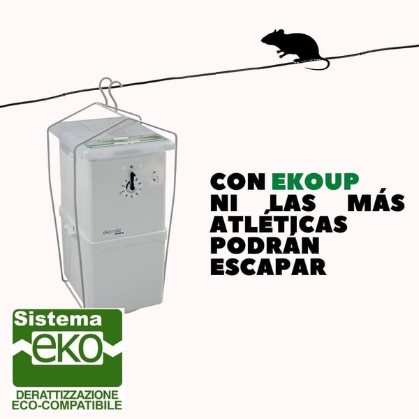 Sistema de Suspensión EKO